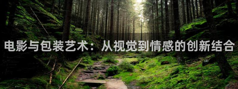 日韩伦理影片在线观看：电影与包装艺术：从视觉到情感的创新结合