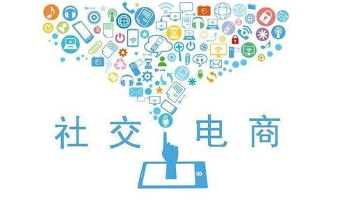 家用电器电商项目 如何快速实现盈利