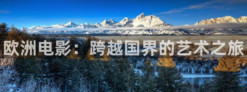 国产伦理视频：欧洲电影：跨越国界的艺术之旅