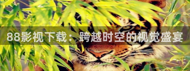 琪琪午夜伦理影院的播出平台：88影视下载：跨越时空的视觉盛宴