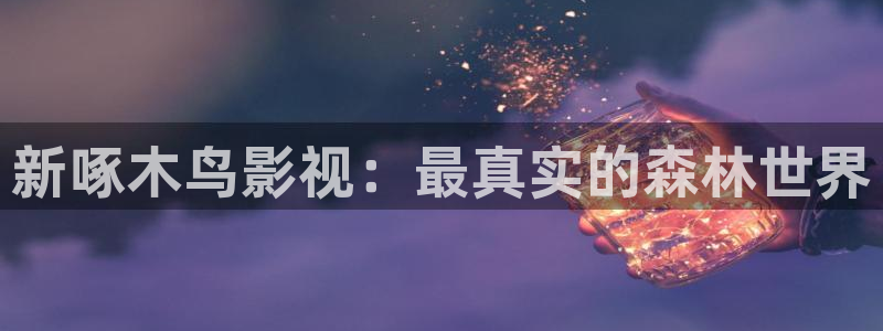 都市伦理影院：新啄木鸟影视：最真实的森林世界
