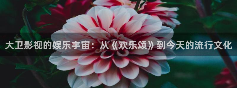 伦理影院在线观看视频：大卫影视的娱乐宇宙：从《欢乐颂》到今天的流行文化