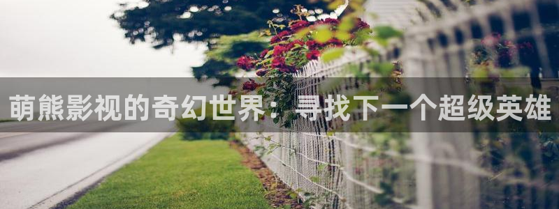 爱爱伦理影片：萌熊影视的奇幻世界：寻找下一个超级英雄