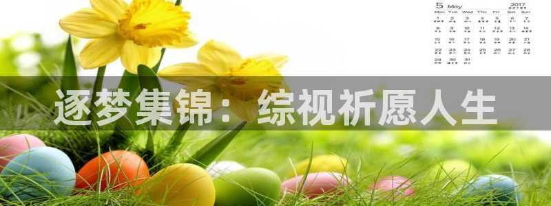 青青伦理影院：逐梦集锦：综视祈愿人生