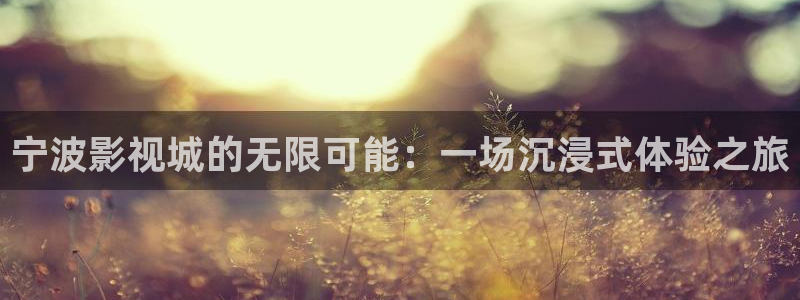 韩国电伦理影：宁波影视城的无限可能：一场沉浸式体验之旅
